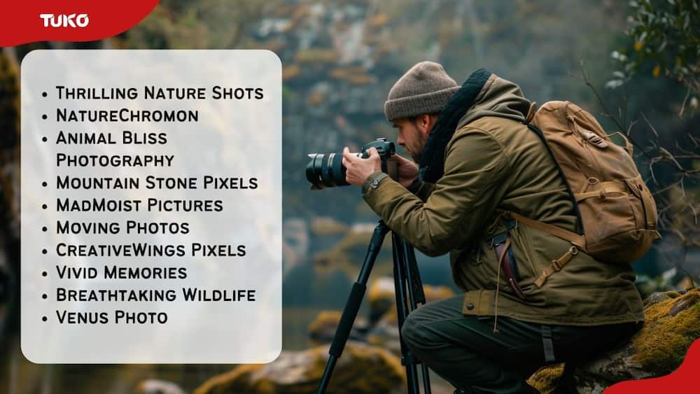 Nature photography names
