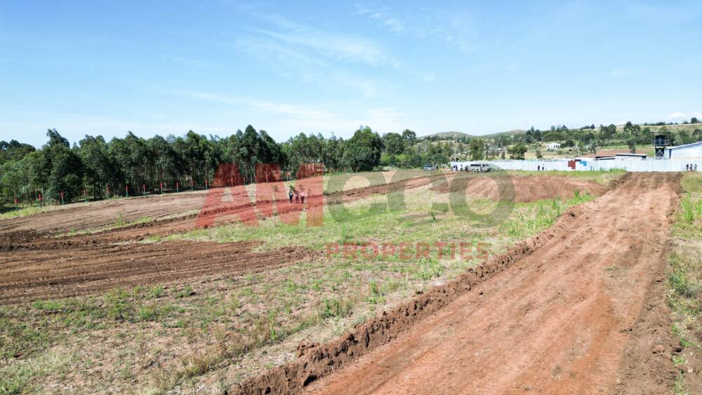 List of Prime Land Locations in Kenya with Captivating Historical Background