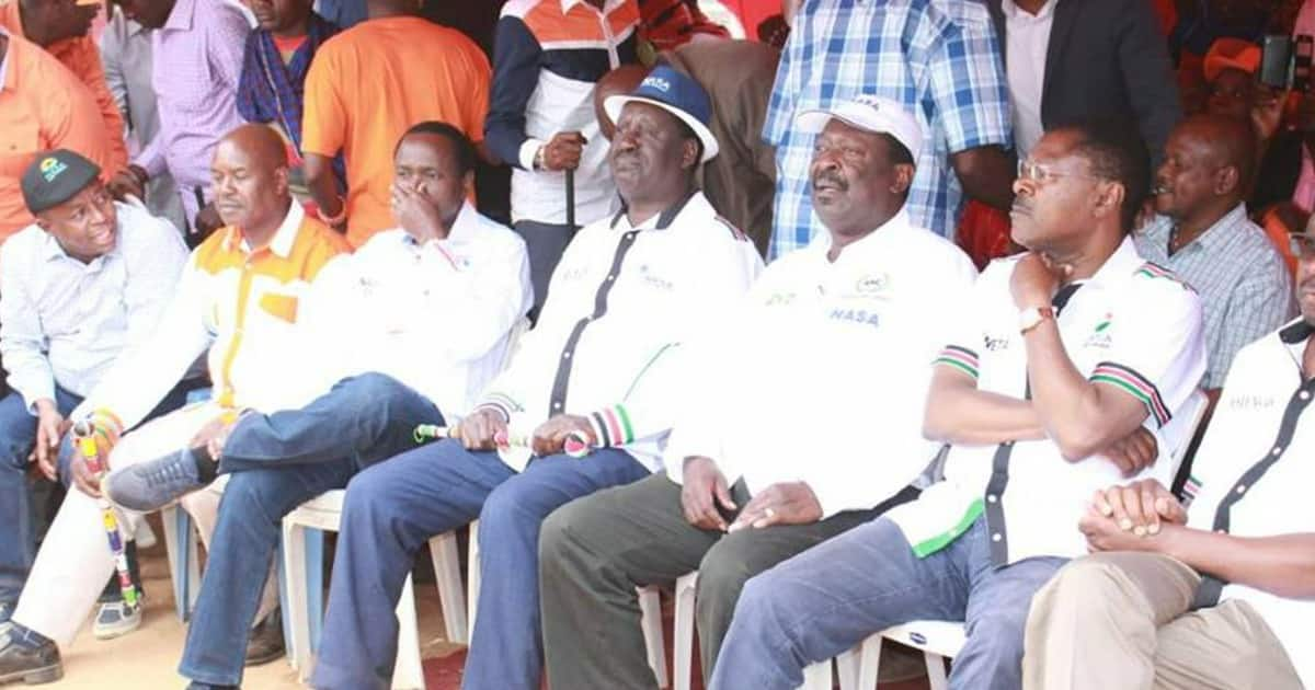 Raila Odinga Gives in to NASA Co-Principals' Demands, Agrees to Share ...