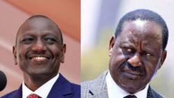 Election 2022 Wrapped: New Poll Shows William Ruto Would Floor Raila, Other Trending Stories