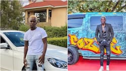 List of Businesses and Properties Owned by Musician Willy Paul