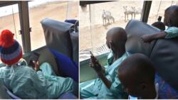 KNH Children Cancer Patients Get Game Drive Tour of Nairobi National Park: "Exciting Experience"