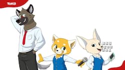All Aggretsuko characters and the animals they represent