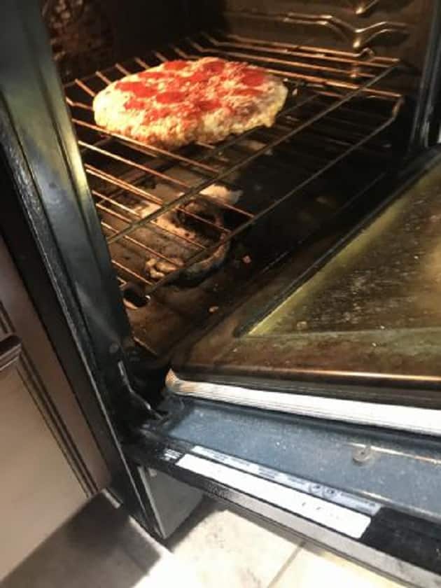 Family burns snake in oven while heating up frozen pizza