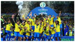 Copa America 2019: Brazil crowned champions following emphatic victory over Peru