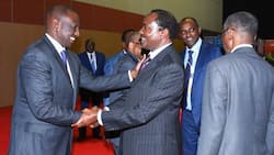 "Kalonzo Welcomes William Ruto in Kitui After Attending Mashujaa Day Fete: "Yeye Ni Rais Wa Kenya"