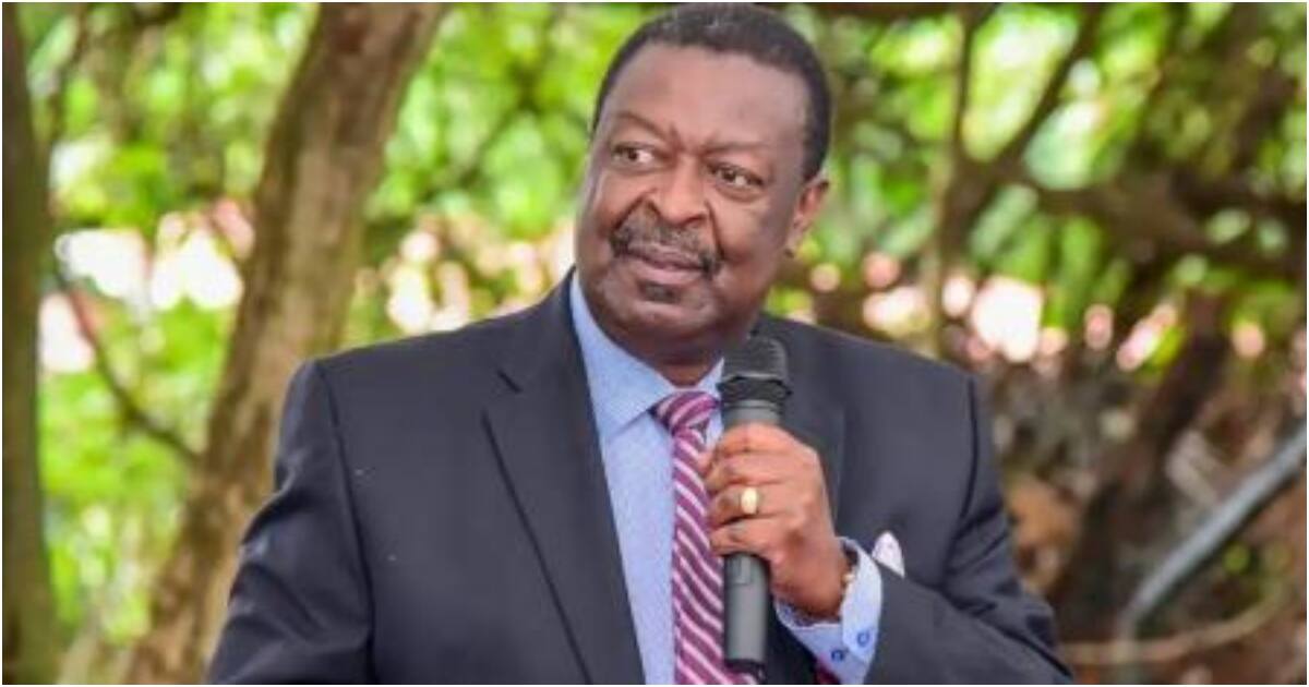 Musalia Mudavadi Says Kenyans' Pain Cannot Be Blamed On Kenya Kwanza ...