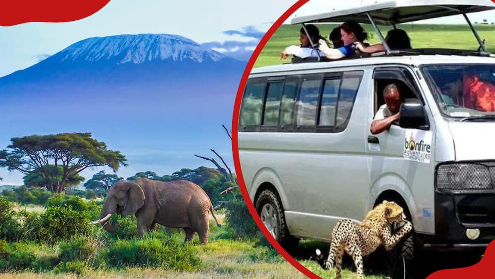 Elephants, Kilimanjaro mountain and a Bonfire Adventures vehicle