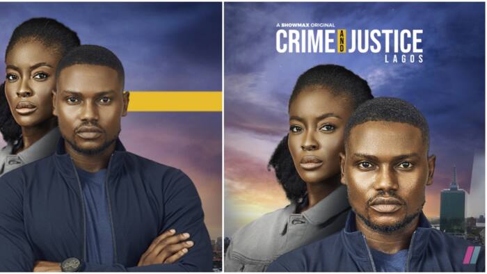 Crime and Justice Lagos: Showmax’s New Procedural Drama Series Debuts December