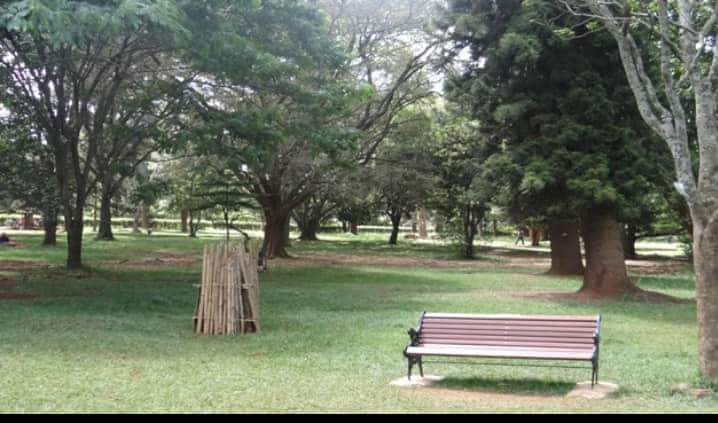 Nairobi Arboretum