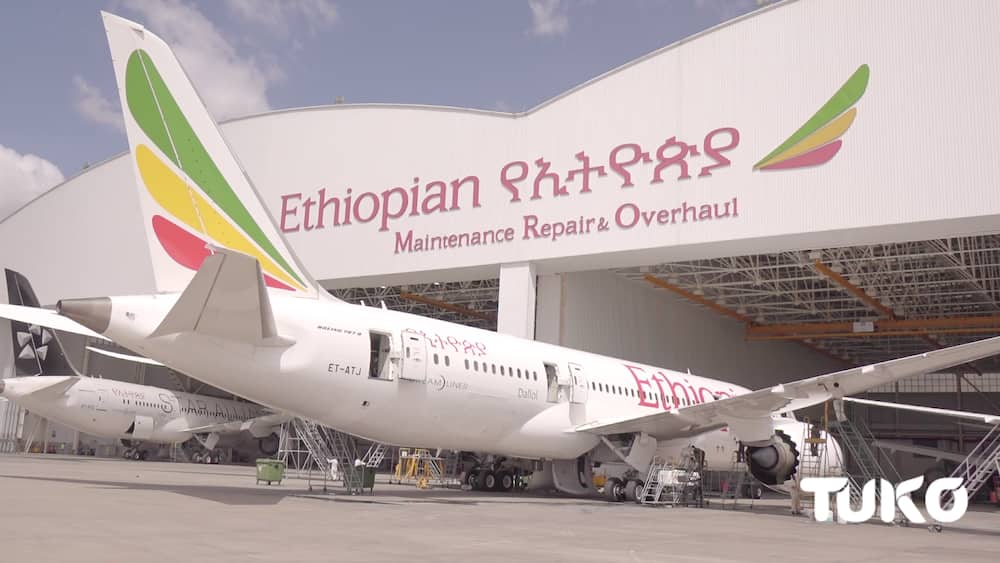 Ethiopian: Africa’s largest, most profitable airline flies high with zero funding from government