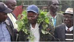 Kisii Man Who Disappeared from Home 50 Years Ago Given Heroic Welcome : "Happy to See Him Alive"