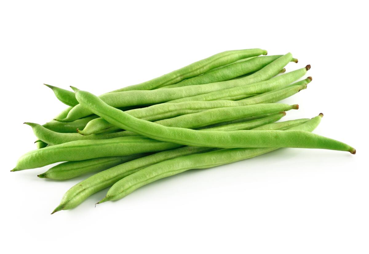 Different types of beans (with pictures)