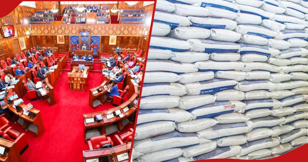 Photo collage of senate committee(left) and bags of fertiliser (right)