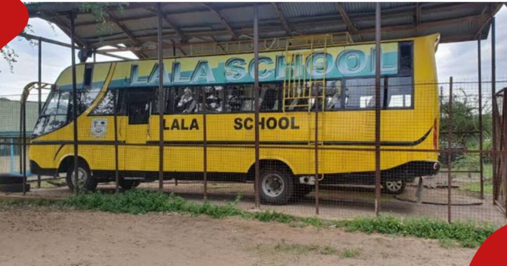 Lala school