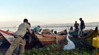 Homa Bay: 2 Fishermen Die During Fight Over Fish Breeding Zone