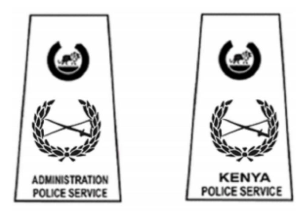 police ranks and badges