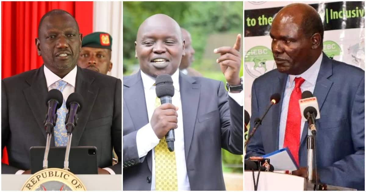 Senator Cherargei Asks William Ruto To Reward Wafula Chebukati With ...