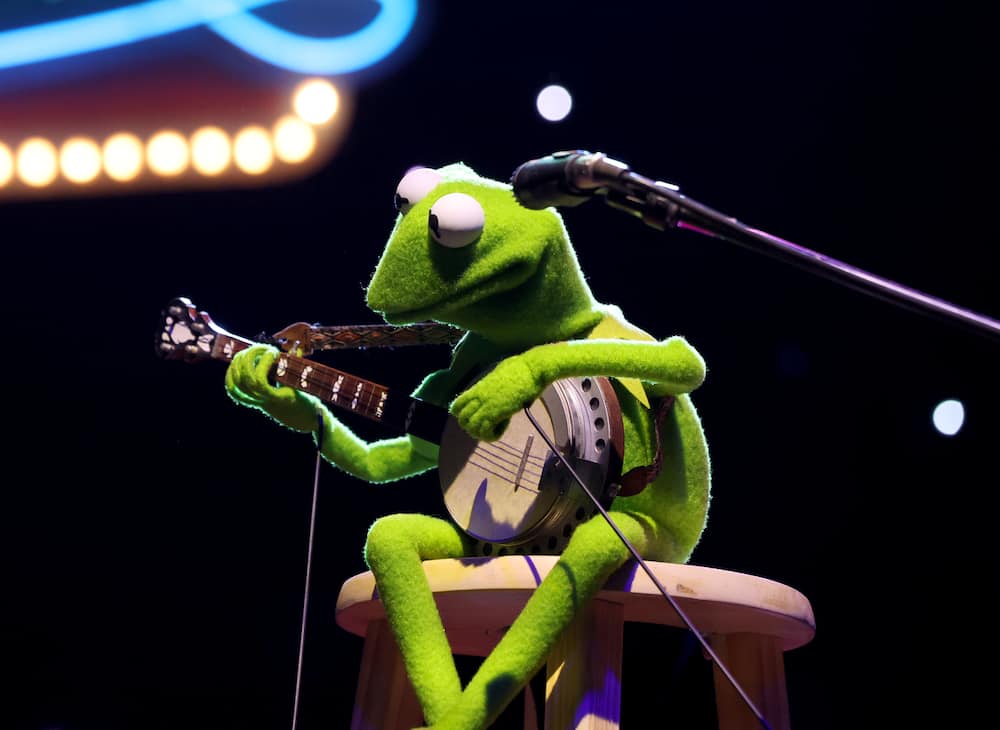 Kermit The Frog performs