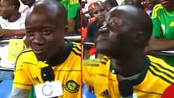 Kenyans Troll Tanzania with Hilarious Memes After Losing 1st Game at AFCON: "Mnatuaibisha"