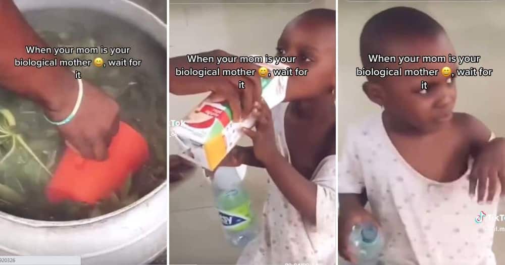 Mother gives sick child spinach water.