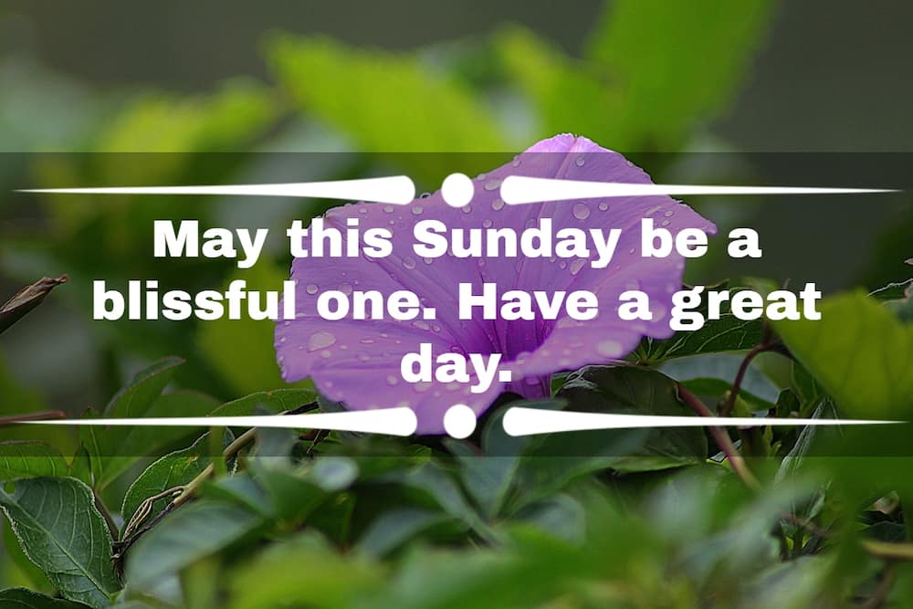 100+ inspirational good morning Sunday messages, quotes, and images - Tuko.co.ke 100+ Inspirational Good Morning Sunday Messages, Quotes, And Images - Tuko.Co.Ke