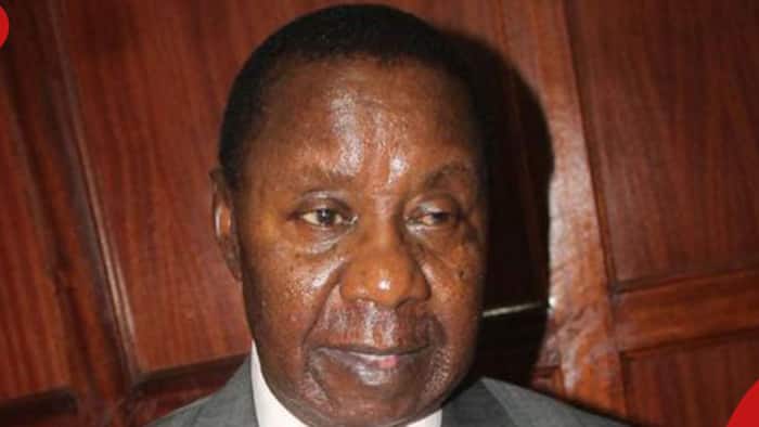 List of Properties and Businesses Owned by Late Billionaire Mugo Mungai Seized by Daniel Moi
