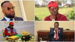 Mike Sonko and 4 Other Current and Former Kenyan Governors Who Are Big in Business, Their Companies