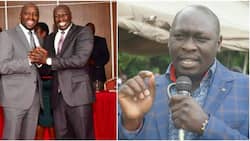 Kipchumba Murkomen mocks Joshua Kutuny after claims his wife sponsored the senator