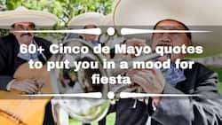 60+ Cinco de Mayo quotes to put you in a mood for fiesta