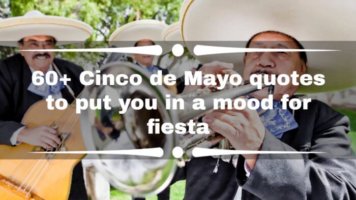 60+ Cinco de Mayo quotes to put you in a mood for fiesta