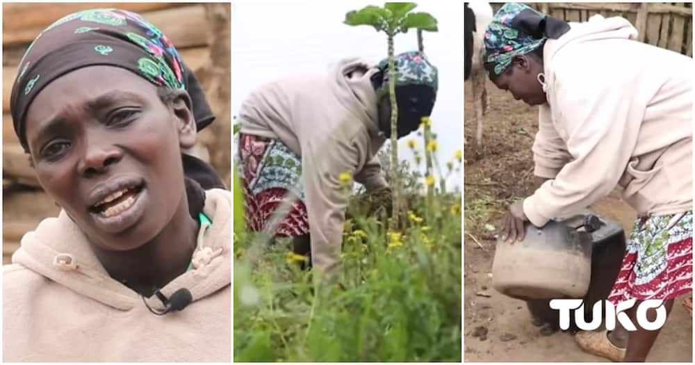 Nyandarua Woman Who Left Marriage Says She Works in Farms, Does Menial ...