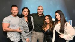 Jersey Shore cast net worth: Who is the richest in 2022?