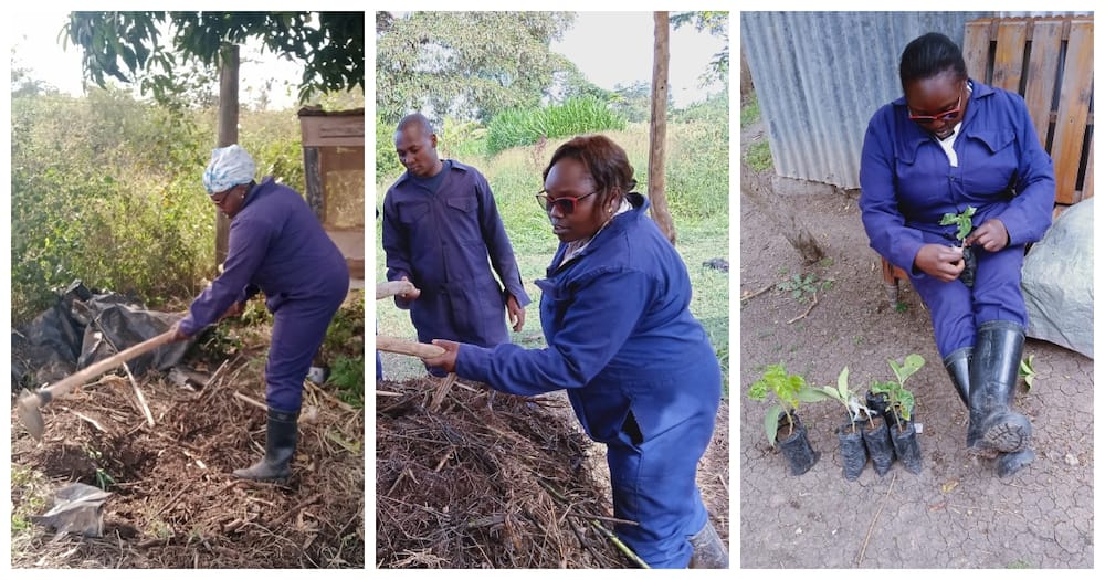 Muriithi Irene working on a farm in Nanyuki.