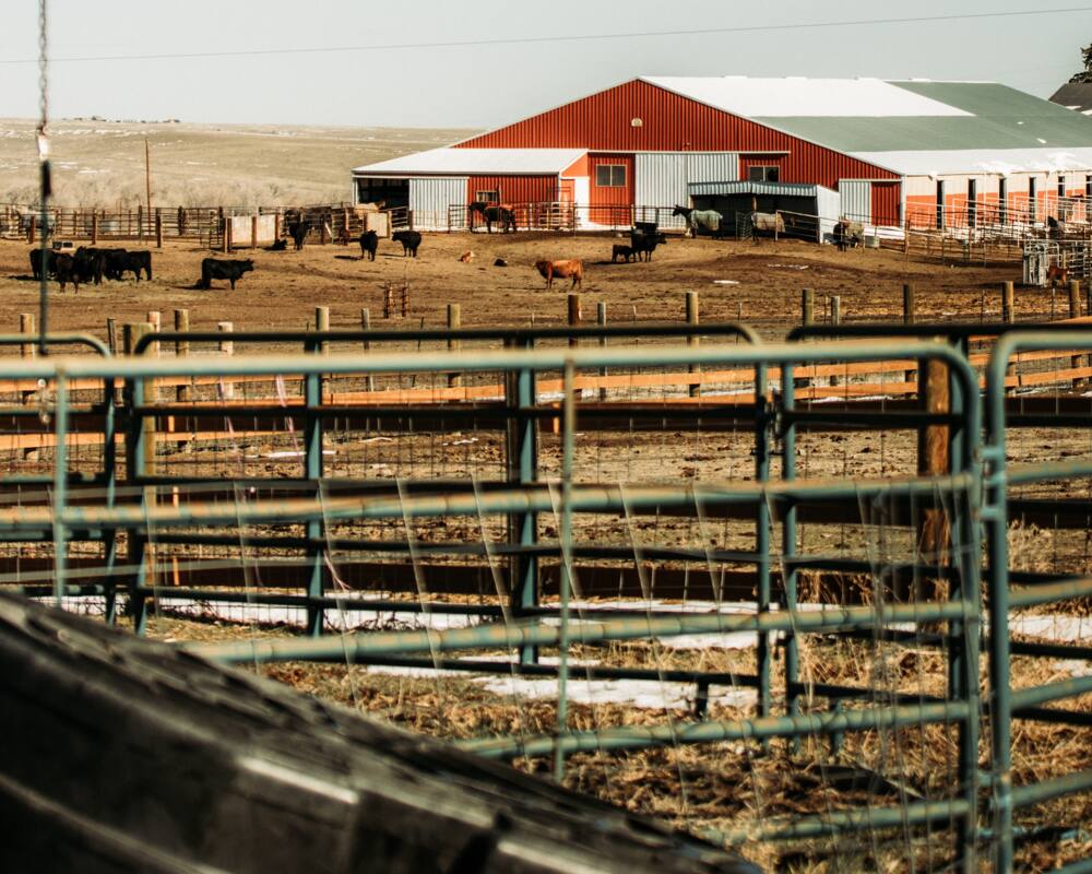 ranch names