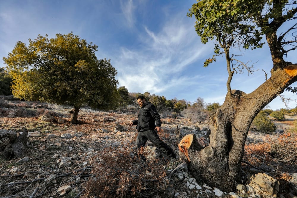 Lebanon's economic crisis has left many people without incomes or winter heating, while public services -- including forest rangers -- are severely underfunded