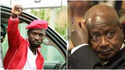 Ngoto ya Museveni yamkuta Bobi Wine, rais wa People Power