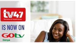 Free to Air Tv 47 Now Available on Multichoice's Go Tv Platform