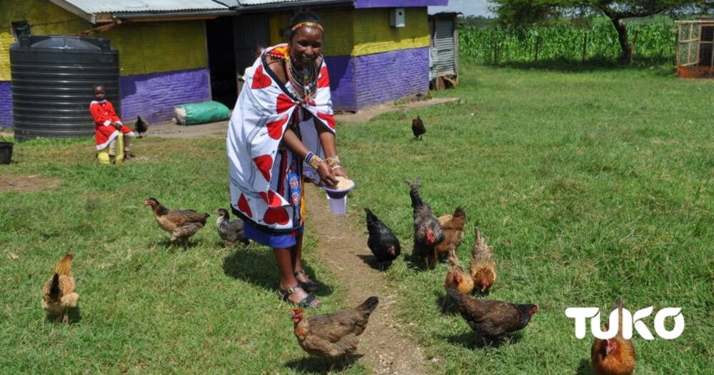 Jane Manang'oi, a chicken farmer in Narok county. Photo: Dennis Lubanga.