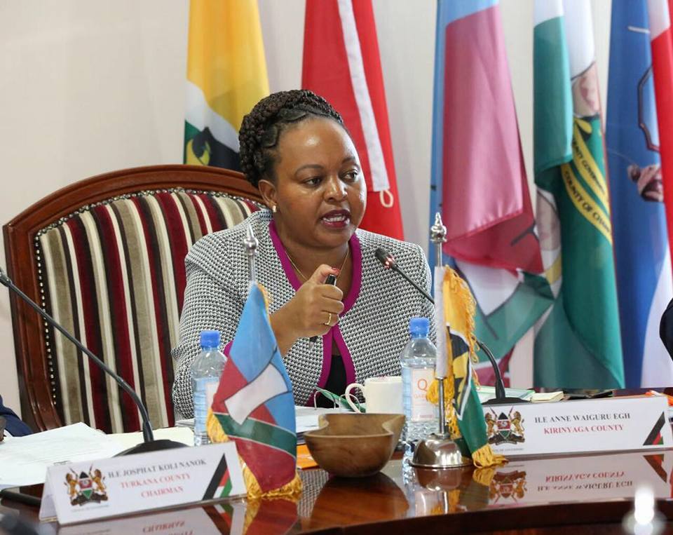 Kirinyaga MCAs reduce Governor Waiguru's legal fees budget from KSh 60m to KSh 1m