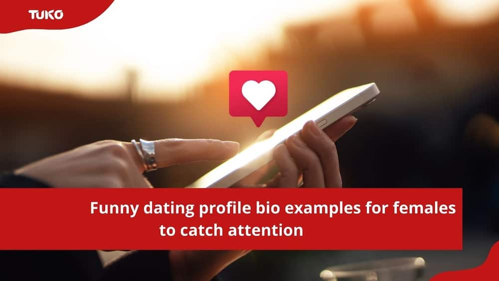 funny dating profile bio examples for females