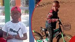 Caleb Odanga: 7-Year-Old Pupil Who Fell from A Merry-Go-Round Dies After 3 Weeks in Coma
