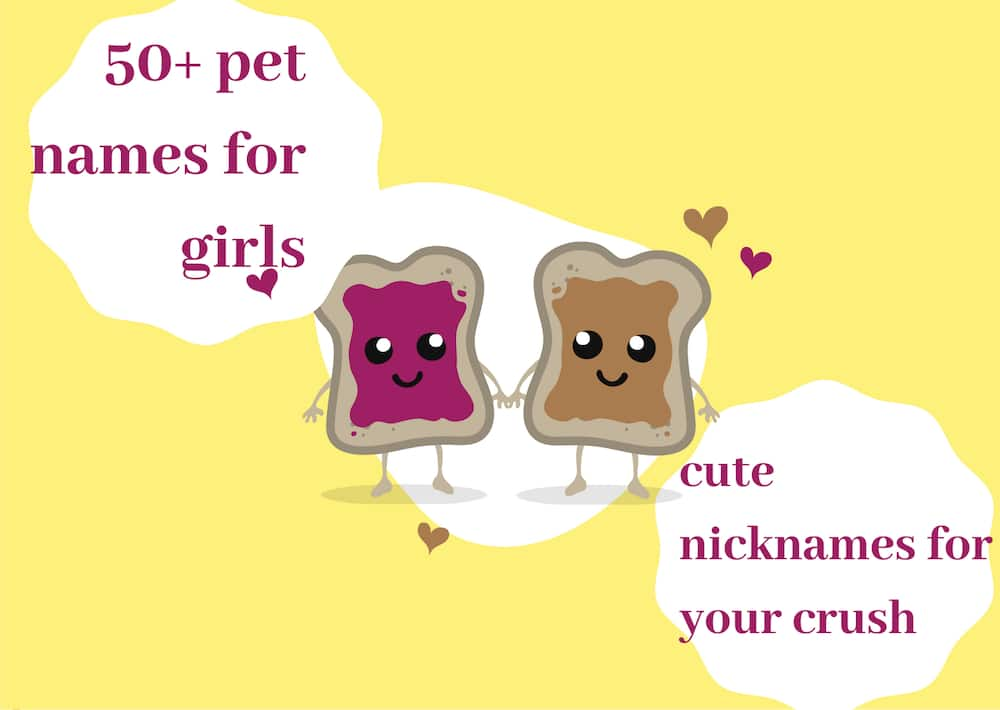 50+ pet names for girls: cute nicknames for your crush - Tuko.co.ke