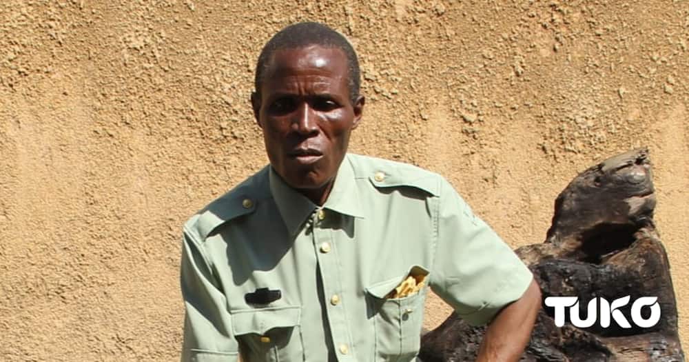 Mzee David Khalukhana, a Kabras elder from Malava. Photo: Dennis Avokoywa/ Tuko.co.ke.