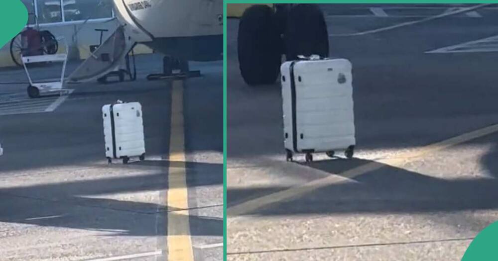 Lady sees that her luggage is forgotten at airport.
