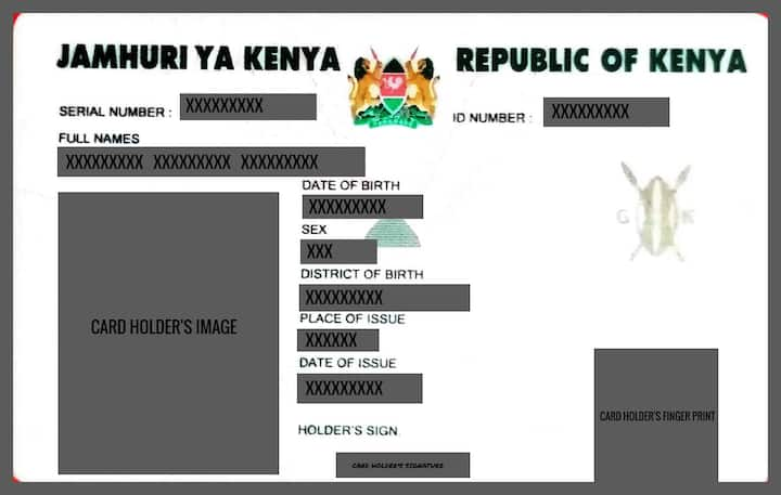 How To Check Id Status In Kenya Complete Guide With Infographic Ke