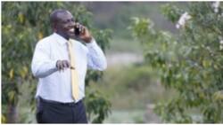 William Ruto: You Will Be Making Calls Free of Charge under Kenya Kwanza Gov't
