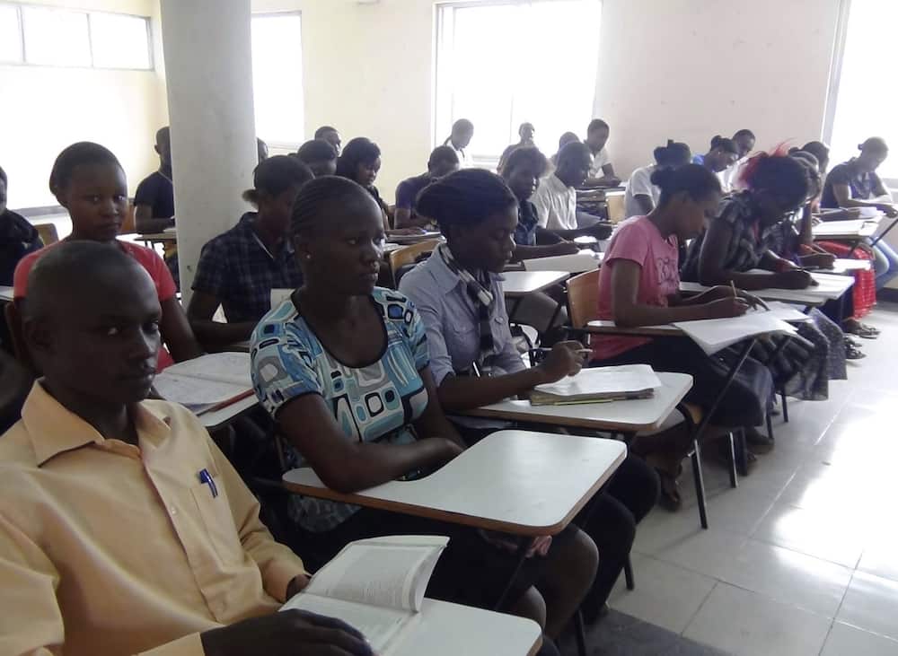 Kenya Coast National Polytechnic: courses offered and fees payable