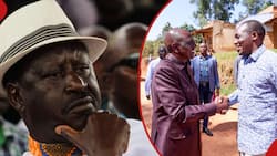 William Ruto Amrushia Ndoano Simba Arati, Amsihi Amhepe Raila na Kuingia UDA: "Hata Mimi Nilikuwa ODM"