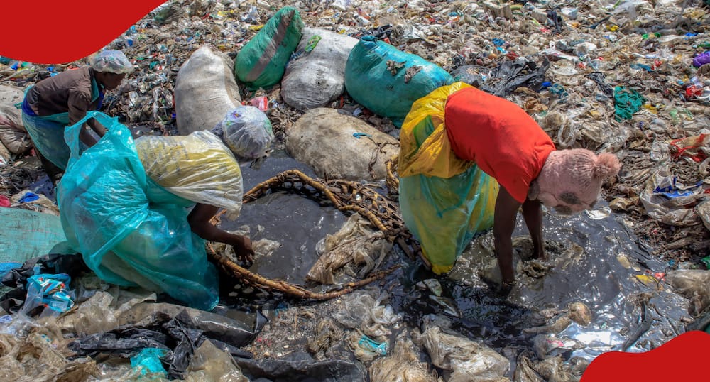 Waste collectors at Dandora dumpsite